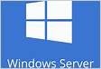 Windows Server 2022 remote web access without a domain private serve